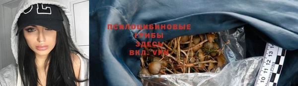 первитин Белоозёрский